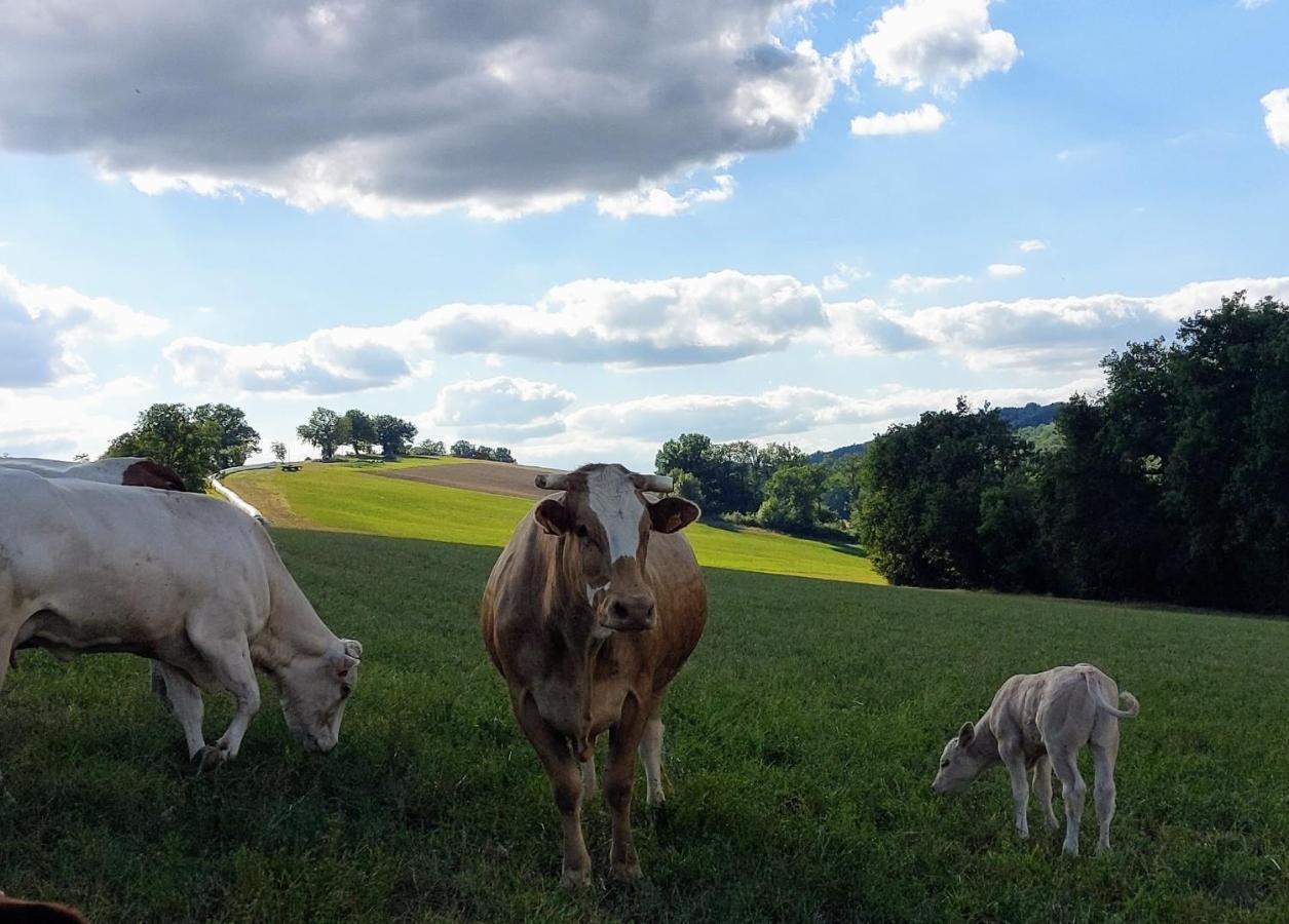Les Gites De Campardon Monties Zewnętrze zdjęcie