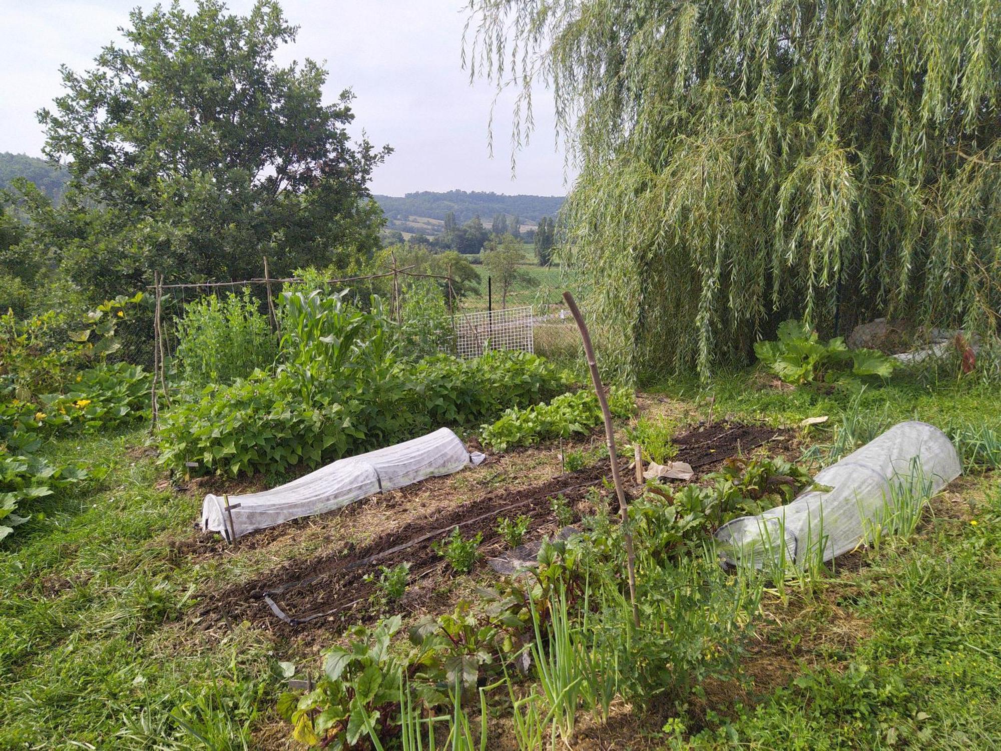 Les Gites De Campardon Monties Zewnętrze zdjęcie